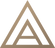 FANN geometric gold brand mark